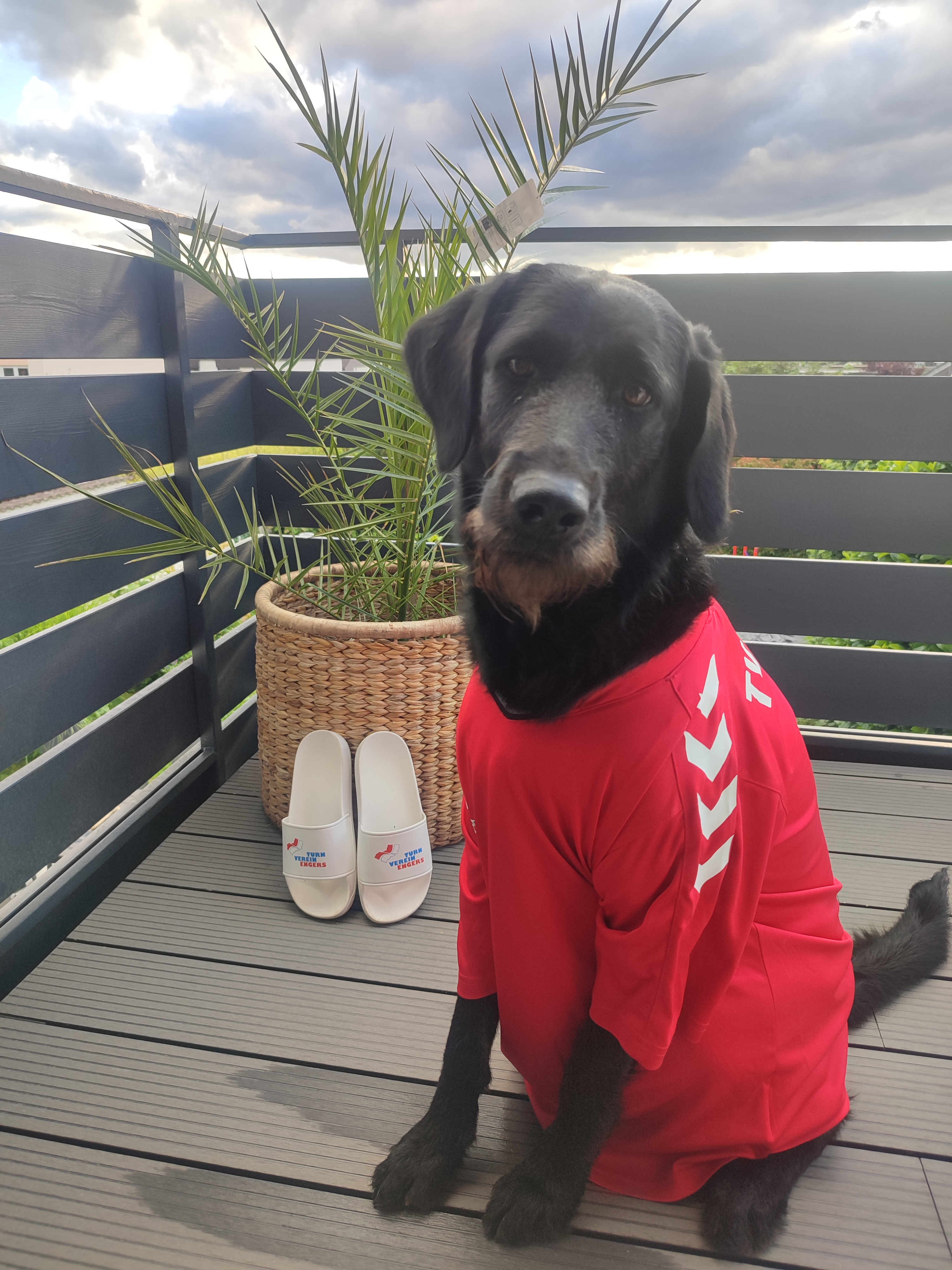 Elly im Fußballfieber